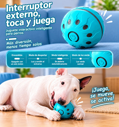 Pelota interactiva que juega sola con tu perro