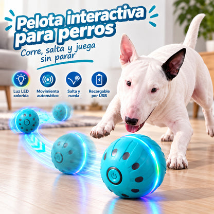 Pelota interactiva que juega sola con tu perro